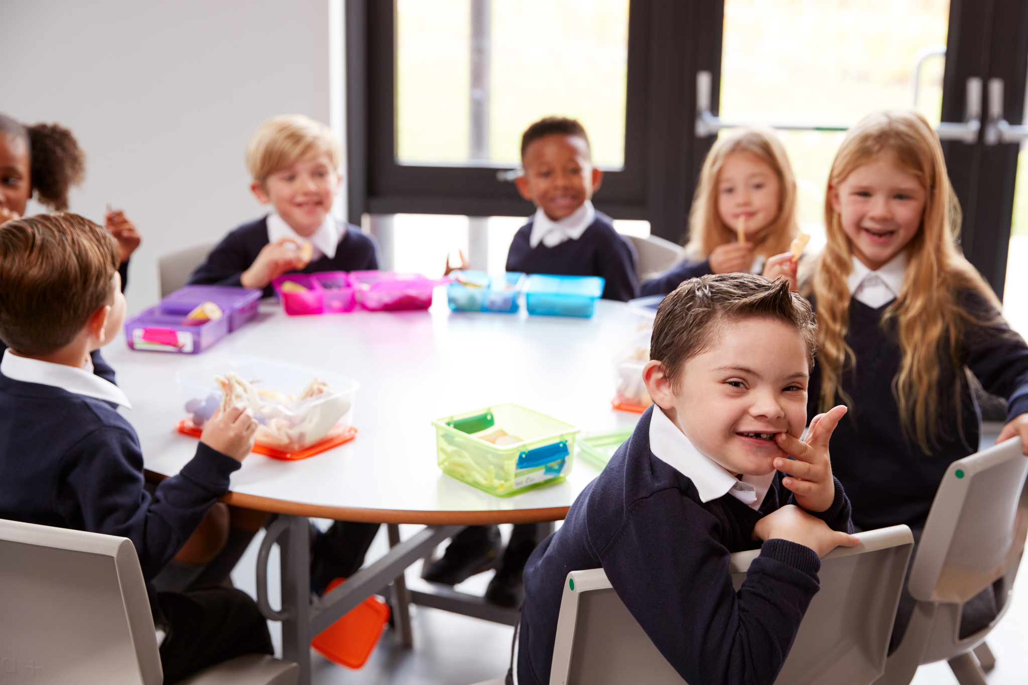 New Website Launch: P.A.N.D.A. Therapy Expands Support for Tasmanian Educators