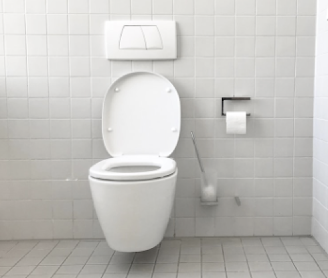 Toileting Supports